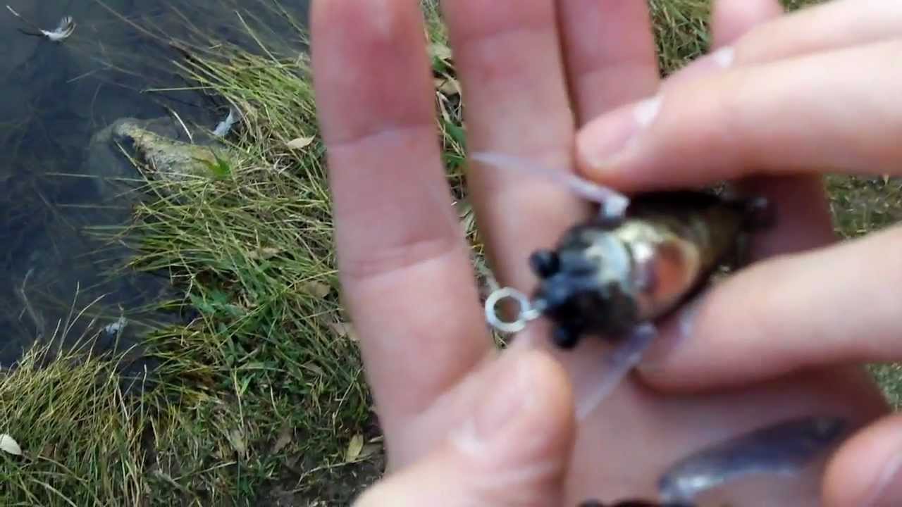 Cicada Lures Comparison: MegaBass, wLure, JetTackle Cicada Bug