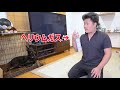 ヘリウムガス吸ってドーベルマンを呼んだらまさかの反応!!