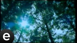 Bülbül (Sinan Zorbey)  Video #bülbül #sinanzorbey - Esen Müzik Resimi