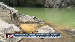 Contaminated Animas River impacting business
