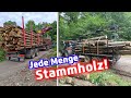 Jede Menge Holz! | Stammholz Transport | Wie kann man das nur vergessen?🤦🏻‍♂️