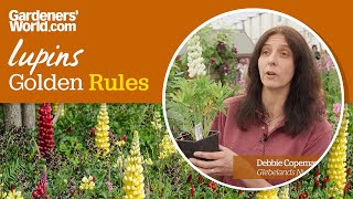 Caring for lupins - Golden Rules screenshot 2