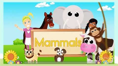 CLASS-4 EVS, CHAPTER-2 EAR TO EAR (PART-2)