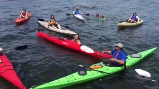 Paddle camp wet exit & reentry