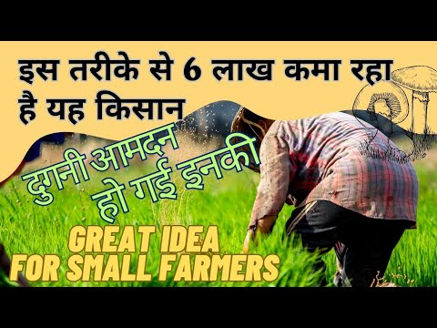 how to do mushroom farming to double your income कैसे एक किसान ने 6 लाख से 12 लाख कमा लिए