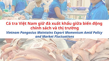 VASEP Highlight - T8/2025: Cá tra