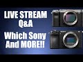 LIVE STREAM Q &amp; A Which Sony and More!!