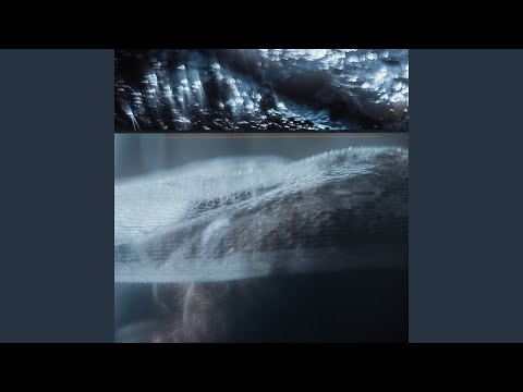 Scalene & Xenia França - Furta-Cor