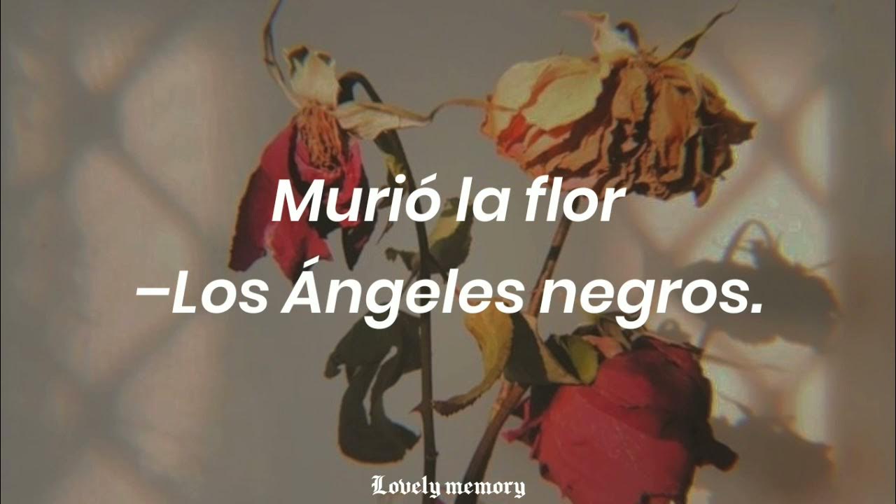 Los Angeles Negrosç Murio La Flor Letra murió la flor–Los ángeles negros(Letra). - YouTube