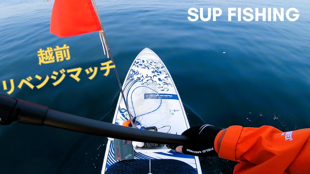 サップフィッシング】春の爆釣モード突入？福井越前釣行 - YouTube