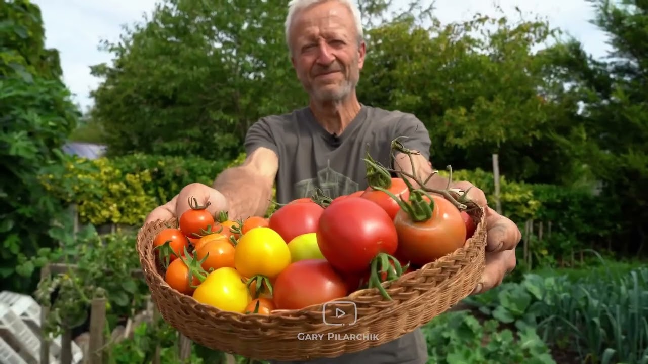 Growing Tomatoes 30 MISTAKES You MUST Avoid!