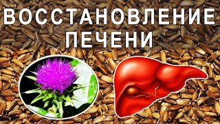 Печень - профилактика и лечение. Расторопша 🌹 пятнистая и льняное 🍾 масло.