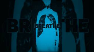 Breathe with ARi is out now! #shorts #progressivehouse #melodichouse #metasin #metasinliveseries