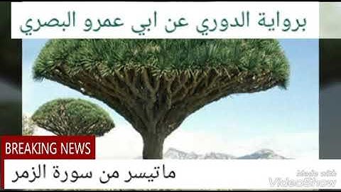 ماتيسر من سورة الزمر برواية الدوري عن ابي عمرو البصري