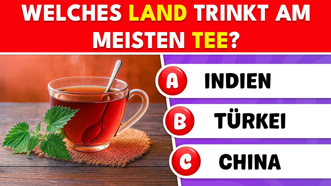 50 Allgemeinwissensfragen, die jeder kennen sollte! ✅ - Knowlio-DE