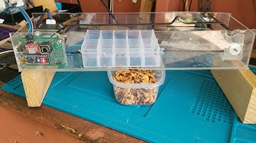 Arduino Project : Auto Fish Feeder