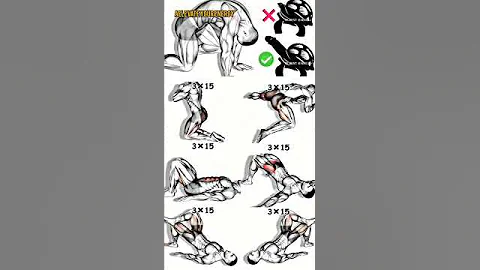 🔥 Best Home Glute & Core Workout | No Equipment Needed | 3x15 Reps