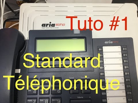 Tuto #1 -Standard téléphonique LG Aria Soho ,présentation et cablage