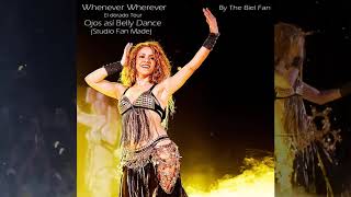 Shakira - Whenever Wherever El Dorado Tour - Ojos Así Belly Dance Fan Made Studio