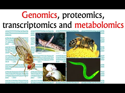 Video: Skillnaden Mellan Proteomics Och Transcriptomics