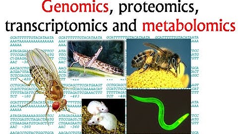 Genomics and proteomics, transcriptomics and metabolomics