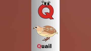 Q is for QUAIL 🦆! Learn ABC! #cocomelon #shorts