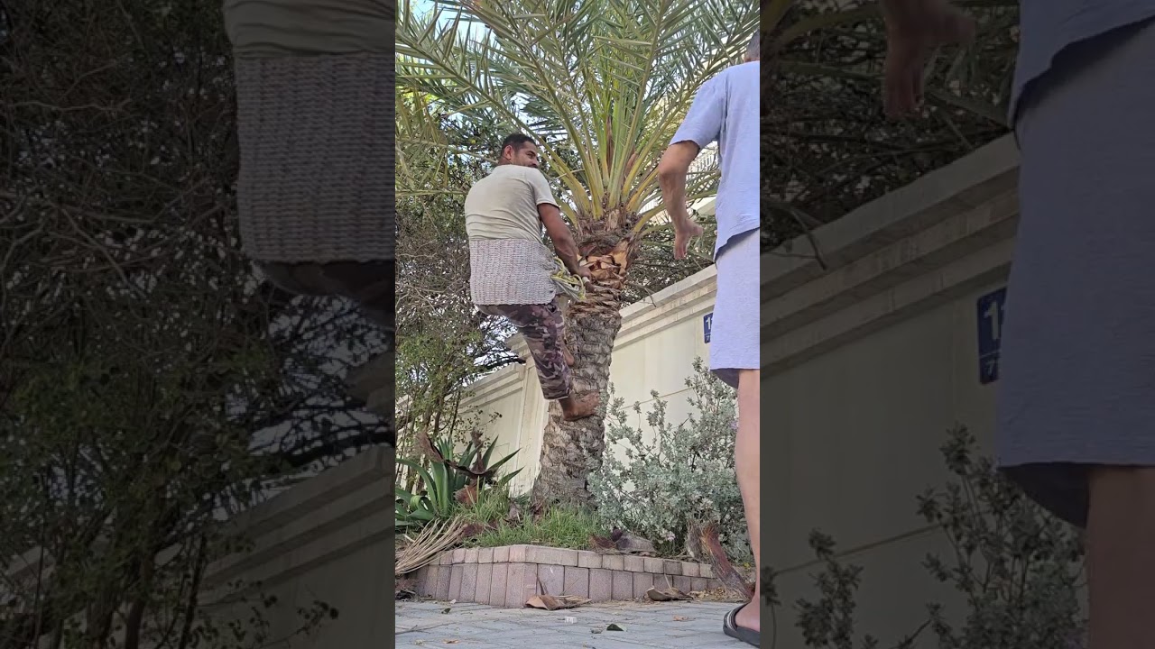 حسين الكربابادي النخلاوي طلب الاستفسار ٣٣٩٢٢٢١١