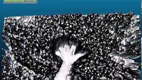 Point Cloud from Leap Motion