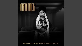 Akamameli feat. Mulest Vankay & Bunny Energizer