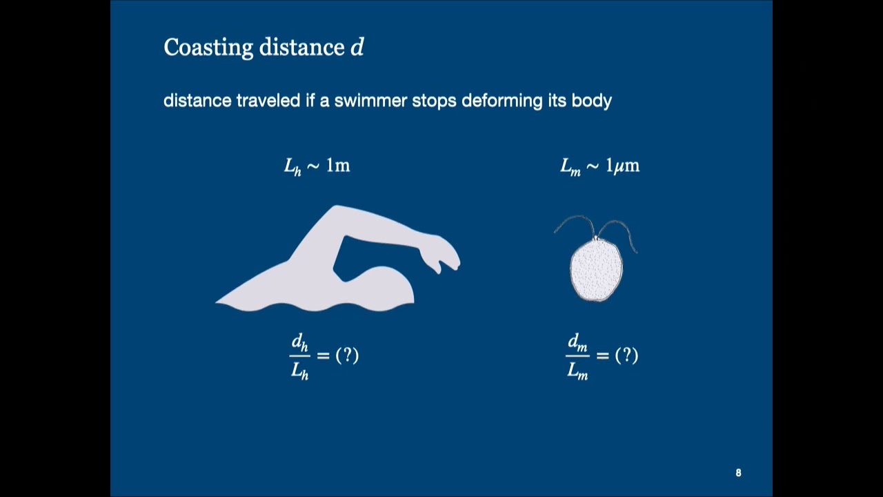 Flow-induced bound states of active particles by Prof. Rajesh Singh