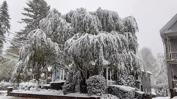 Josh + Darius Jam Sessions 2