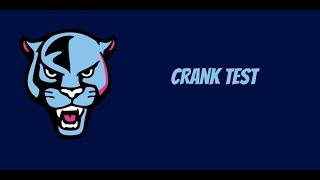 Crank Test (Labrum)