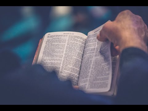 KTF News - Judge Rules Bible ‘Incompatible with Human Dignity’