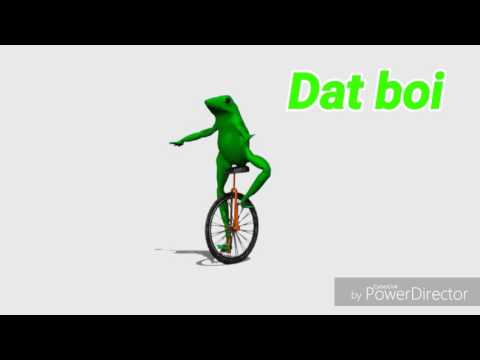 DAT BOI