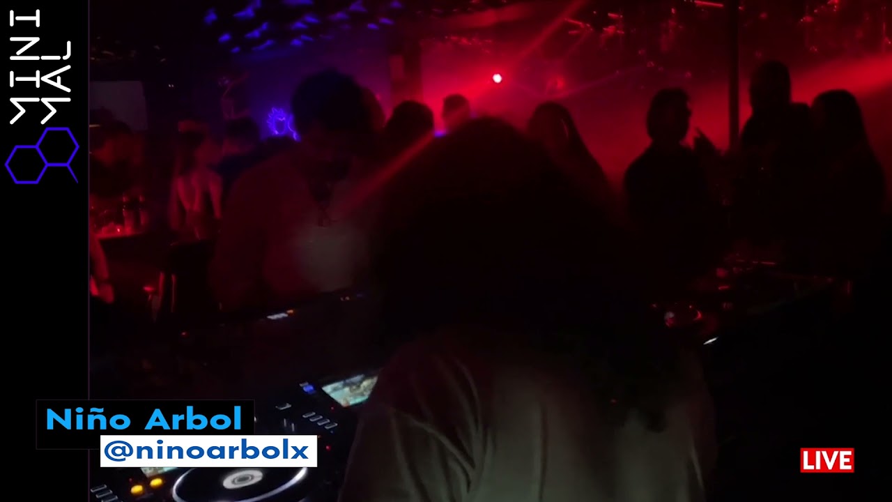 Niño Arbol / 11 Dic LIVE