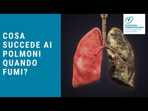 Video: I polmoni dei fumatori possono guarire?