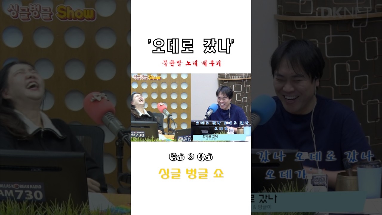 들으면 무조건 중독되는 북한말 노래 #어데로갔나 #북한 #노래 #달라스 #싱벙쇼 #웃긴영상