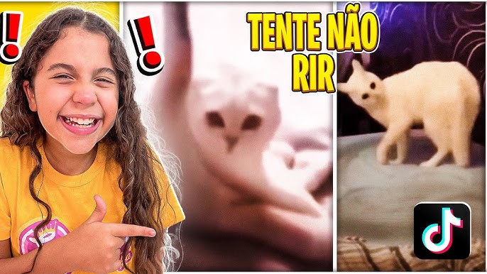 Videos engraçados de gatos falando tente não rir #videosdegatosengraç