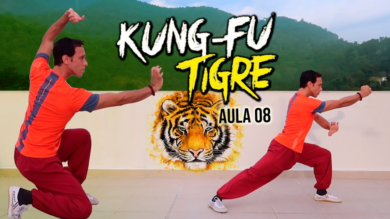 ESTILO DO TIGRE KUNG-FU - AULA BÁSICA 08 - YouTube