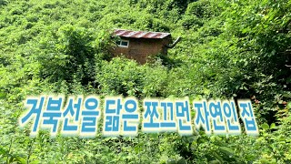 거북선을 닮은 저기 저 두 평짜리 쪼구먼 자연인 집