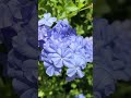 Buenos días, que tengas un maravilloso día de junio — en los rayos del sol veraniego —España.