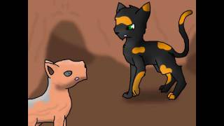 Warrior MEP part 6