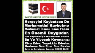 Hayvanlara Sevgi̇ Ve Merhamet Edeli̇m