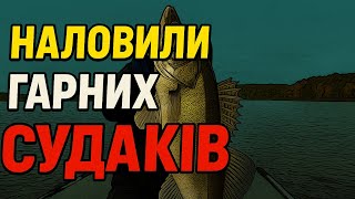 видео: 🐊 Angry Baits проти судака — жорстка битва і шалений результат! картинка: 🐊 Angry Baits проти судака — жорстка битва і шалений результат!