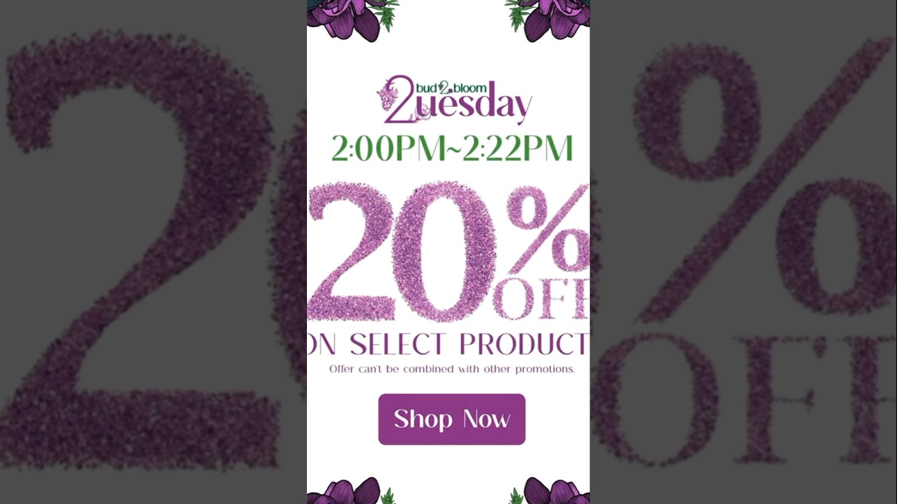 In Bud We Trust (Bud 2 Bloom Dispensary) by 