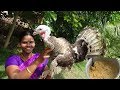 Turkey Dum Biryani  | Vaan Kozhi Dum Biryani  / வான்கோழி  தம்  பிரியாணி  , Prepared for 25 Peoples