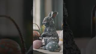 Easter's Date Mystery  Unveiled! #shorts