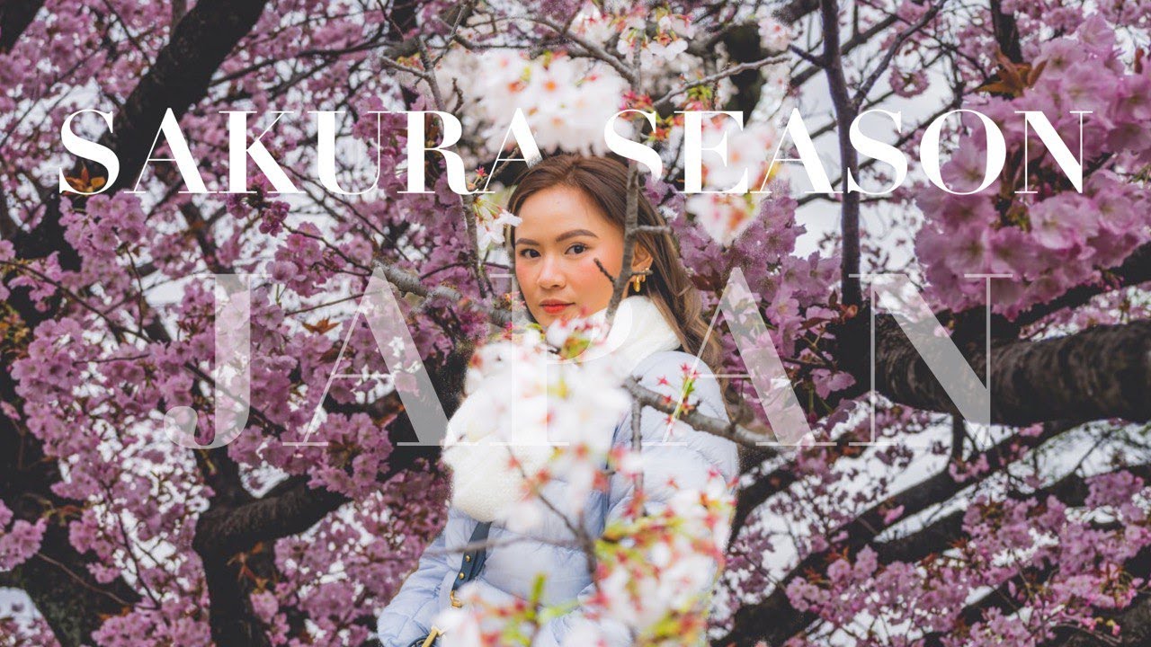 JAPAN VLOG | Our Top Park Picks For Hanami In Tokyo | Cherry Blossom Hunting