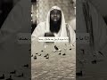 ولسوف يعطيك ربك فترضى الشيخ بدر المشاري حفظه الله
