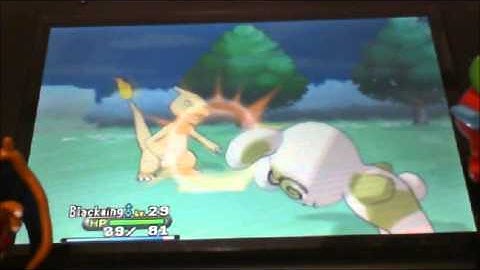 [Live] Shiny Spinda, Random Hoard Encounter. Pokemon X/Y